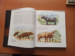 Enciclopedia de los animales- mamiferos I