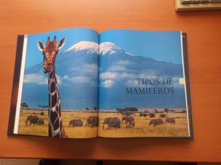 Enciclopedia de los animales- mamiferos I