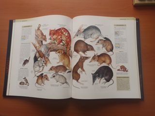 Enciclopedia de los animales- mamiferos I