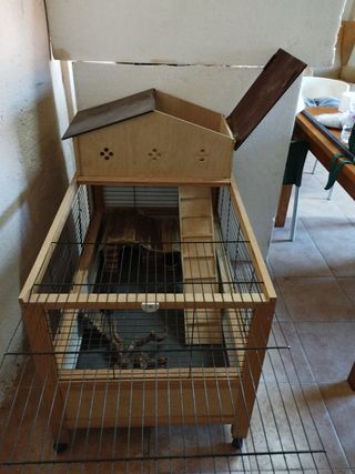 jaula roedores