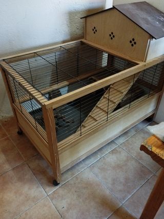 jaula roedores