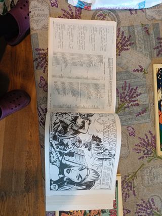 Tebeo El hijo de la jungla n°6