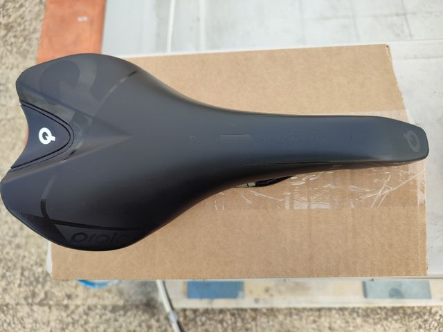 sella prologo screch 2