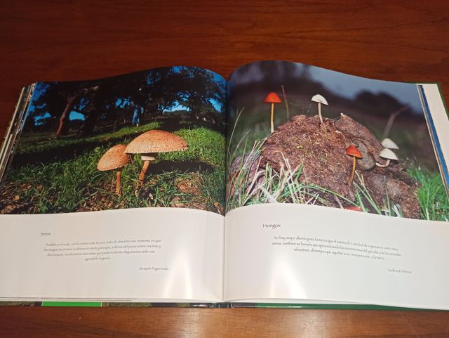 LA DEHESA EXTREMEÑA Imágenes y Vivencias