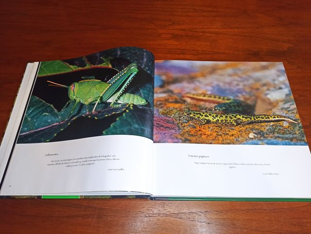 LA DEHESA EXTREMEÑA Imágenes y Vivencias