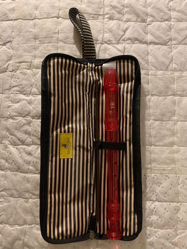 Flauta con estuche