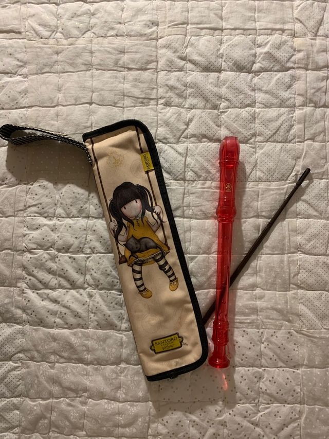 Flauta con estuche