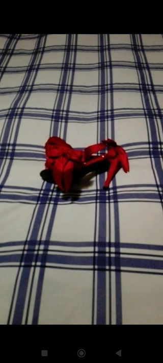 zapatos fiesta 