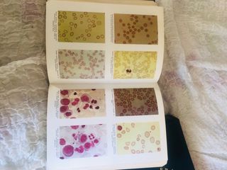 TRATADO DEL AYUDANTE EN MEDICINA Y CIRUGÍA