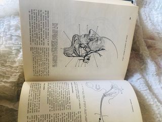 TRATADO DEL AYUDANTE EN MEDICINA Y CIRUGÍA