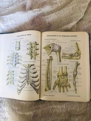 Diccionario Terminologico de Medicina