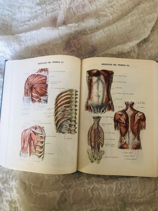 Diccionario Terminologico de Medicina