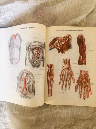 Diccionario Terminologico de Medicina