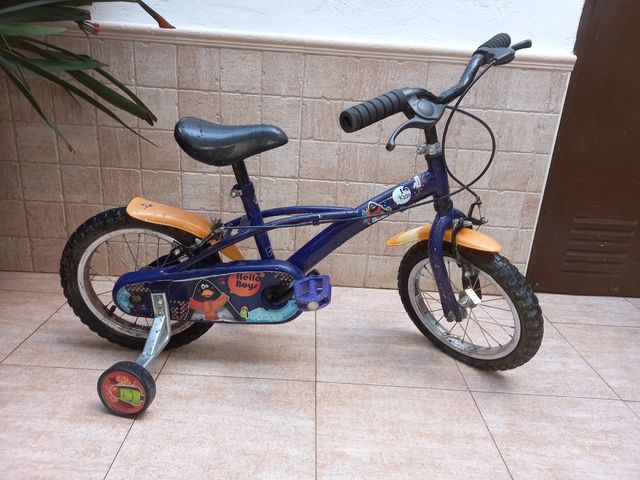 Bicicletta da ragazzo