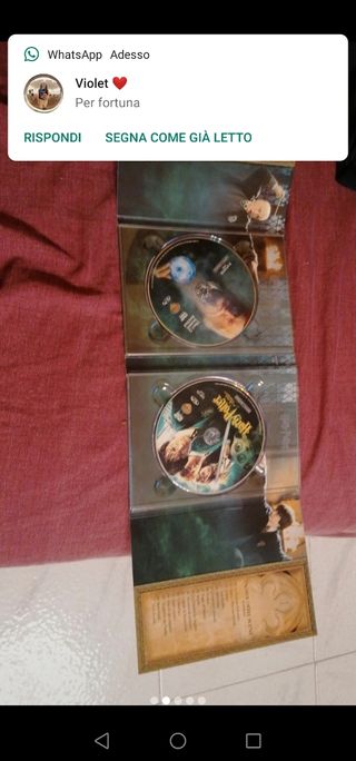 Harry Potter e la camera dei segreti 2 dvd