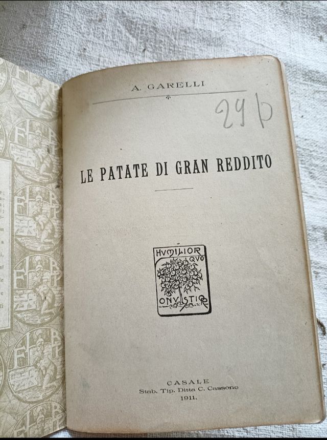 Le patate di gran reddito / A. Garelli 1911