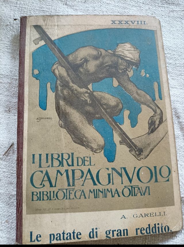Le patate di gran reddito / A. Garelli 1911