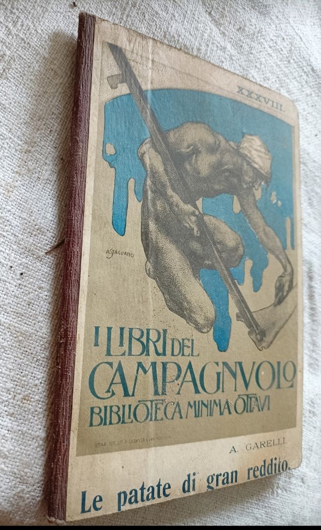 Le patate di gran reddito / A. Garelli 1911