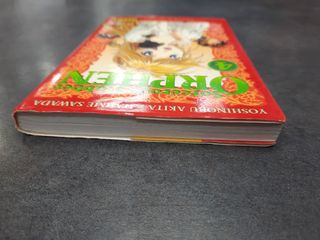 Manga Sorcerous Stabber Orphen 04