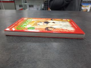 Manga Sorcerous Stabber Orphen 04