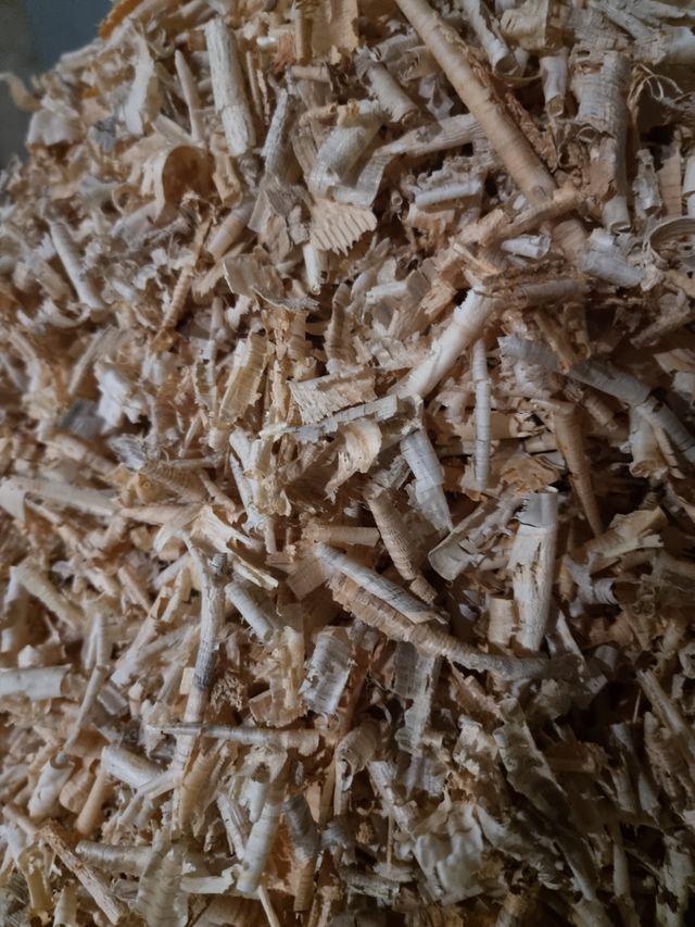 viruta de pino 1.5 kilos y 15 kilos