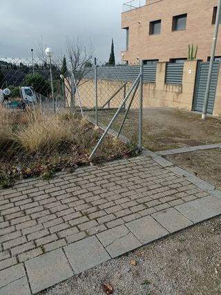 Parabólica 