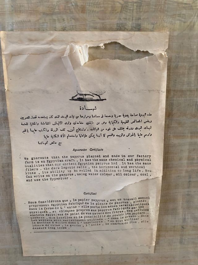 Quadro Papiro egiziano realizzato a mano originale