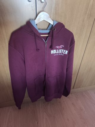 sudadera Hollister L hombre