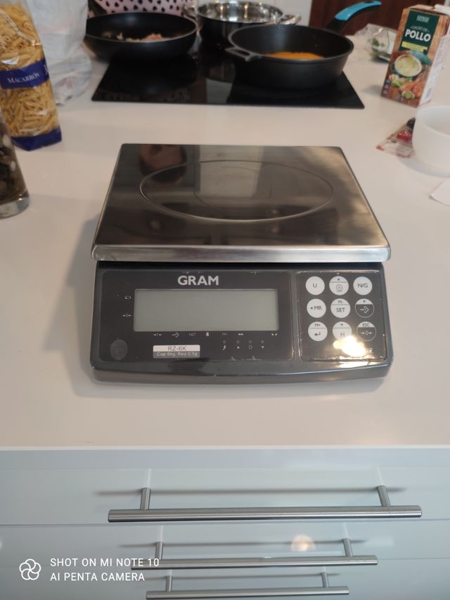 Balanza industrial de precisión