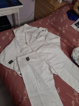 Disfraz de karateka