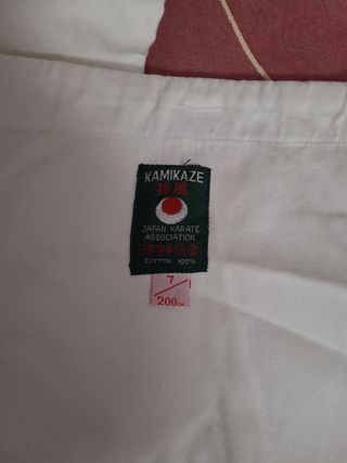 Disfraz de karateka