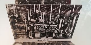 20 fotografie - Padova Basilica del santo