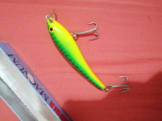 Rapala