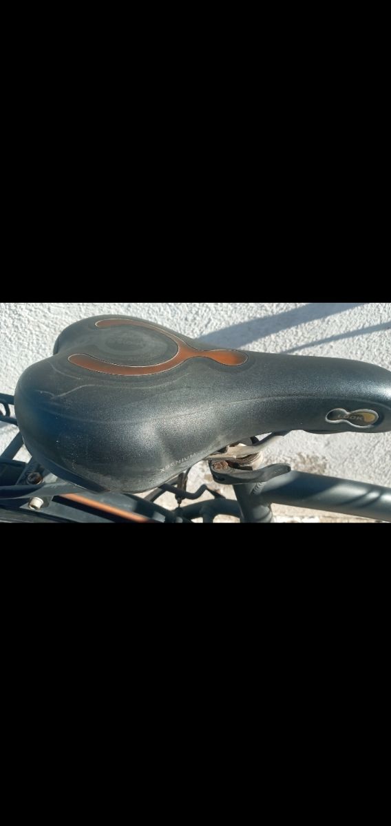 bicicleta btiwn. adulto