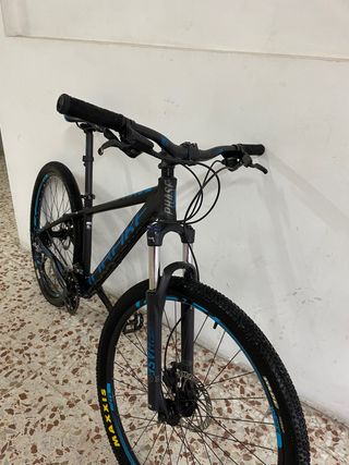 Mondraker phase