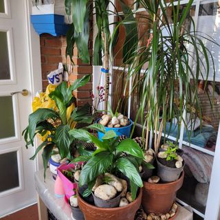 JARRA CRISTAL CAFETERA