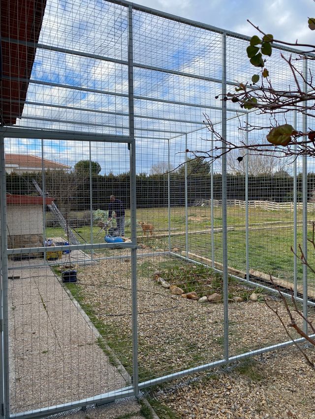 Strutture metalliche