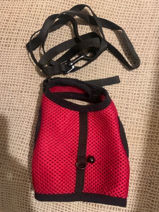 ARNÉS CONEJO ADULTO