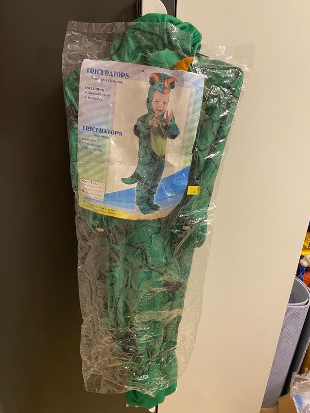 Disfraz de Triceratops