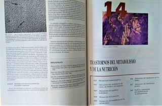 MEDICINA INTERNA FUNDAMENTAL