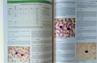MEDICINA INTERNA FUNDAMENTAL