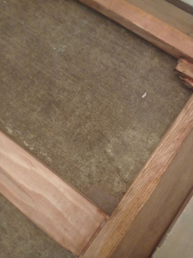 quadro olio ''ragaza '' 1900 autore sconosciuto