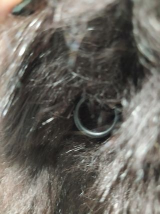 Chaqueton Zorro Negro con mangas  Cuero actual