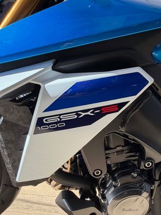 Suzuki GSX-S1000