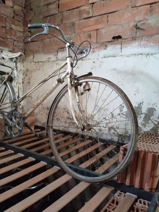 bici bicicleta torrot vintage