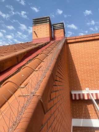 Trabajos verticales Madrid