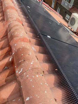 Trabajos verticales Madrid