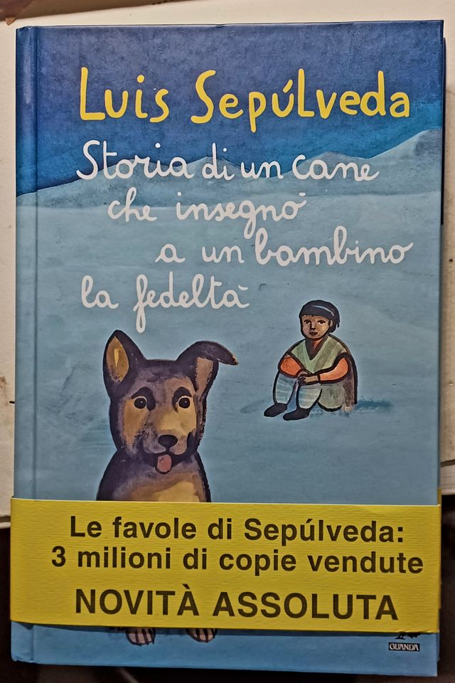 Libro - Storia di un cane che insegnò a un bambino