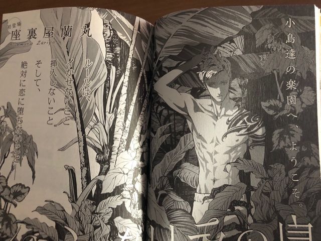 Revista yaoi Canna vol 56 de segunda mano por 30 EUR en Sevilla en WALLAPOP