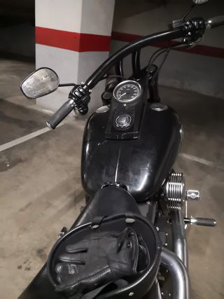 Harley davidson Softail